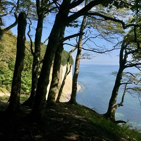 Old Bank With A Sea View
